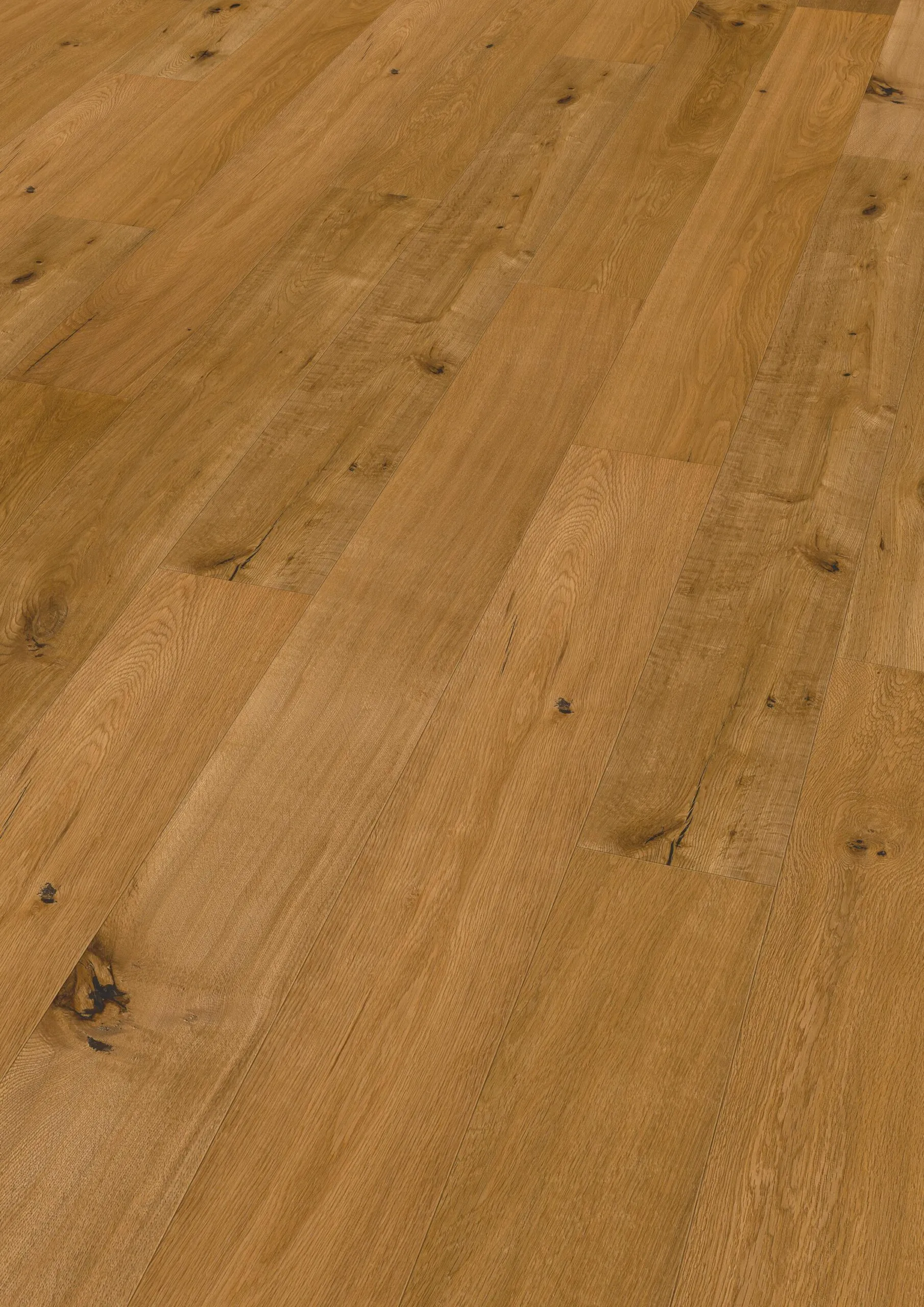 Eiche-Grand-Canyon-1>