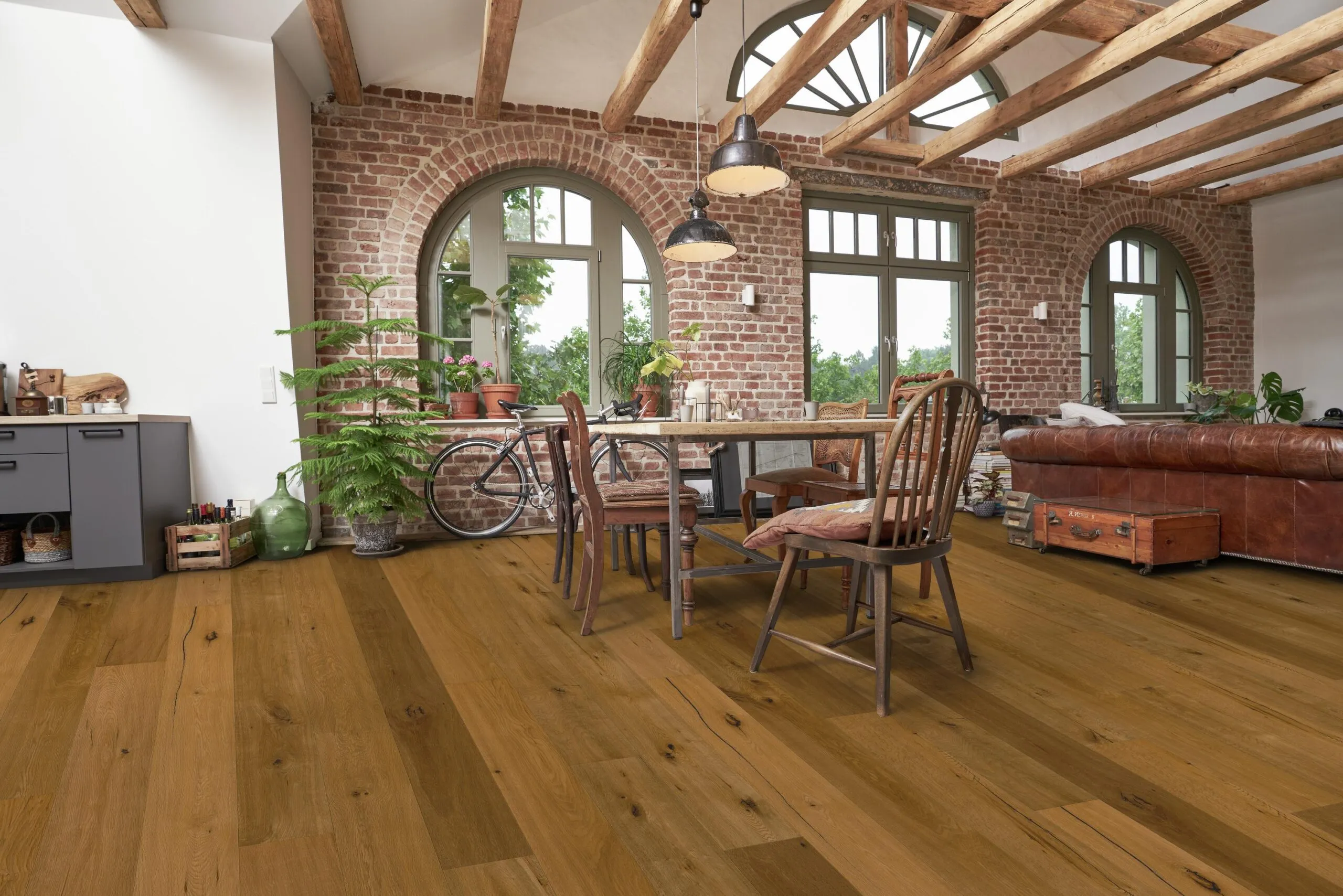 Eiche-Grand-Canyon-3