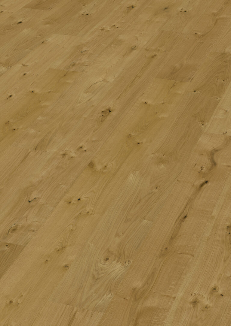 Eiche Tafelberg XL